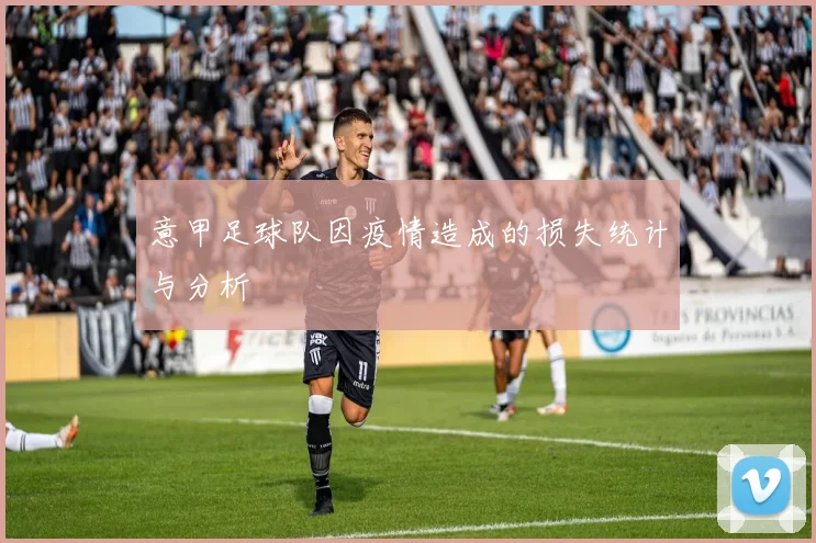 意甲足球队因疫情造成的损失统计与分析