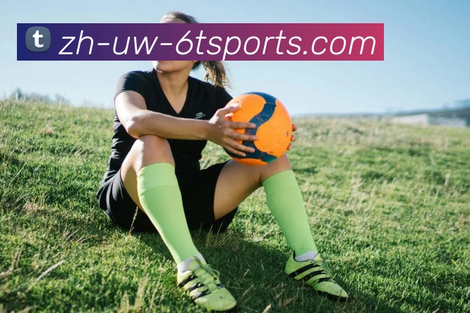 6T体育发展历程